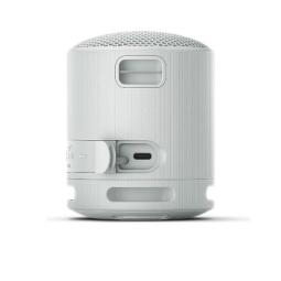 Altavoz inalambrico sony srs - xb100 gris