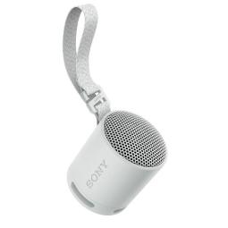 Altavoz inalambrico sony srs - xb100 gris