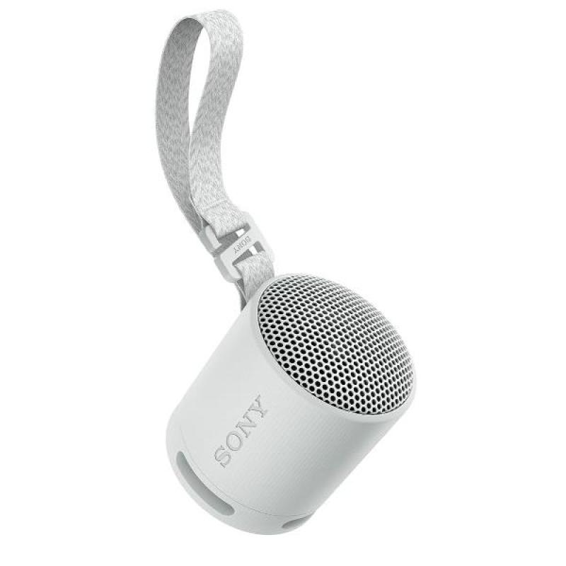 Altavoz inalambrico sony srs - xb100 gris