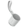 Altavoz inalambrico sony srs - xb100 gris