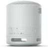 Altavoz inalambrico sony srs - xb100 gris