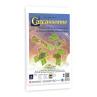 Expansión carcassonne: maravillas de la humanidad 2