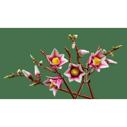 Lego botanicals ramas de magnolia