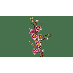 Lego botanicals ramas de magnolia