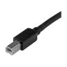 Cable usb tipo b a usb tipo a startech 15m - macho - macho - negro