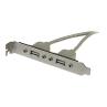 Adaptador placa usb a h 2 puertos
