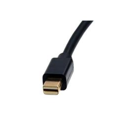 Adaptador mini dp a dvi startech macho - hembra - negro
