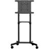 Soporte suelo con ruedas startech vesa hasta 70 pulgadas 600x400mm max 70kg