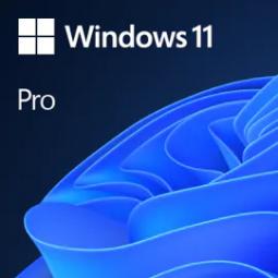 Windows 11 pro 1 licencia 64 bit todos los idiomas esd (descarga directa)