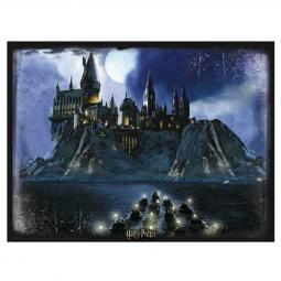 Puzzle 3d lenticular harry potter hogwarts 500 piezas