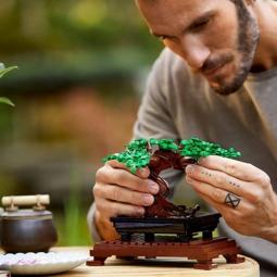 Lego creator expert campo bonsai 10281