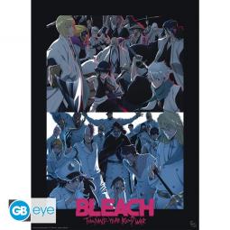 Poster gb eye bleach tybw shinigami vs quincy