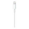 Cable lightning a usb tipo c apple 1m - macho - macho - blanco