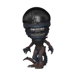 Funko pop alien romulus scorched xenomorph