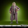 Figura hasbro star wars the vintage collection jod na nawood