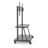 Soporte suelo con ruedas ewent vesa hasta 120pulgadas 1000x600mm max 120kg