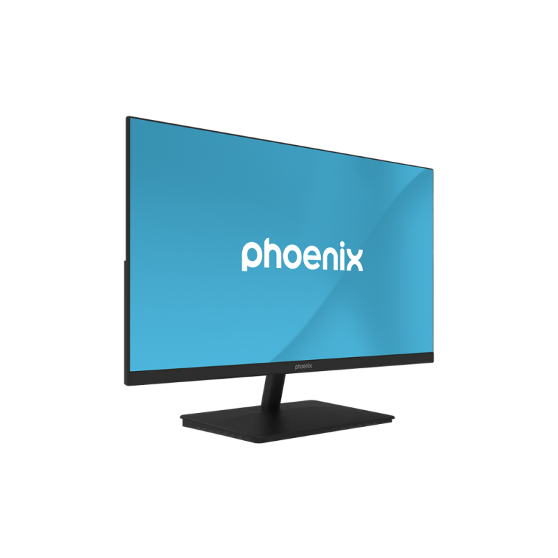 Monitor phoenix prisma 24pulgadas full hd 100hz 5ms hdmi vga dp vesa 100x100